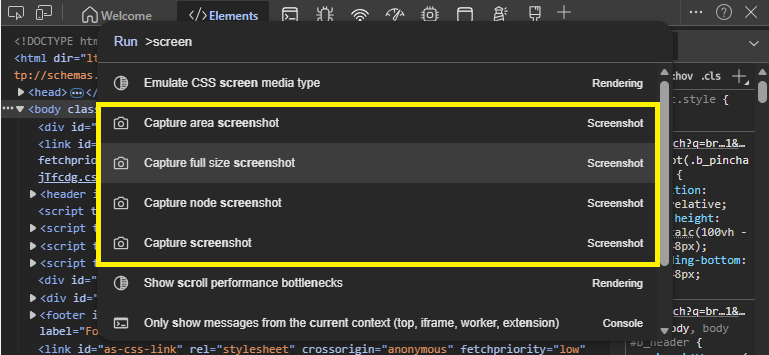 Screenshot options in Dev Tools